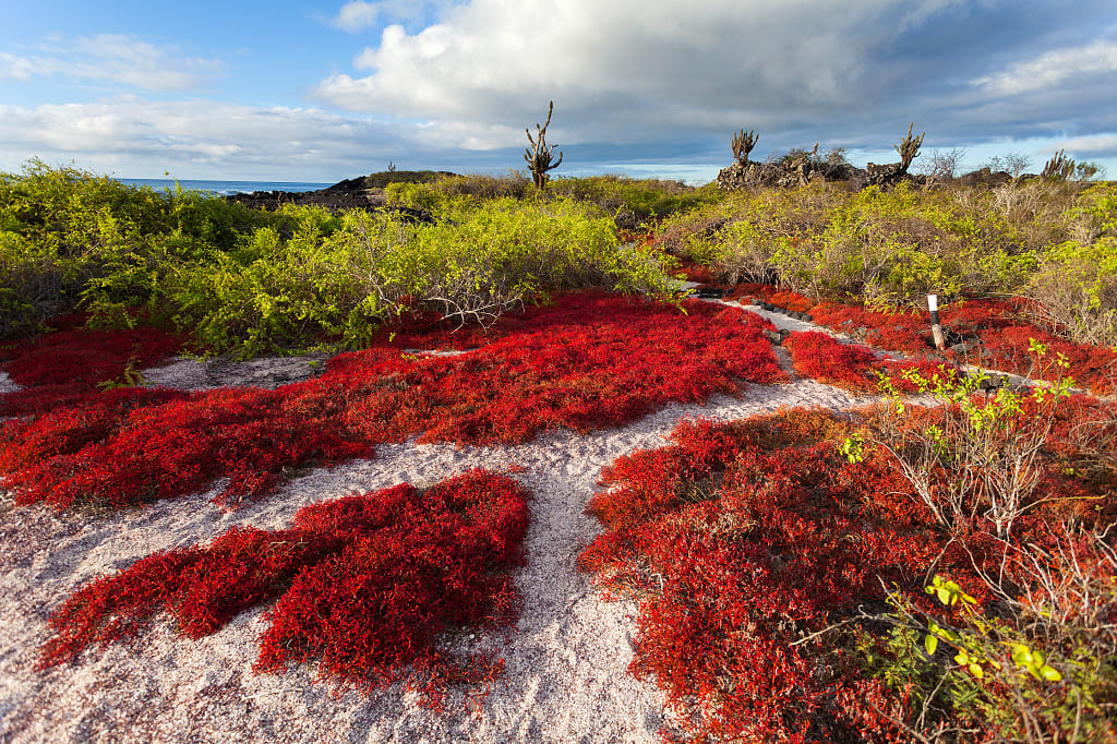 Floreana Island, Galapagos Floreana Island, Galapagos