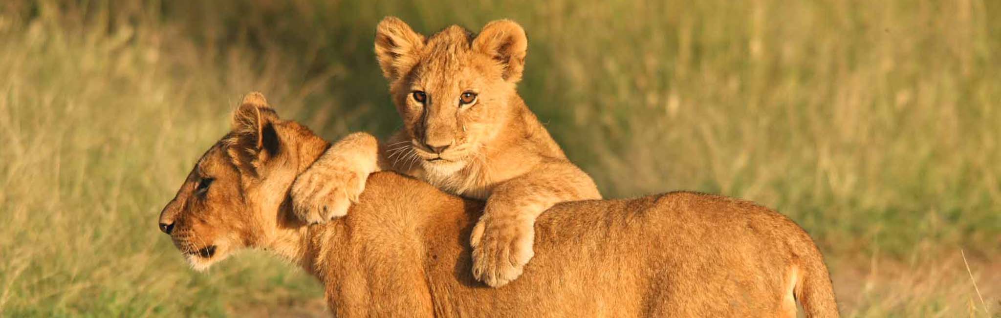 Best Mother Daughter Trips & Vacations 20242025 Zicasso