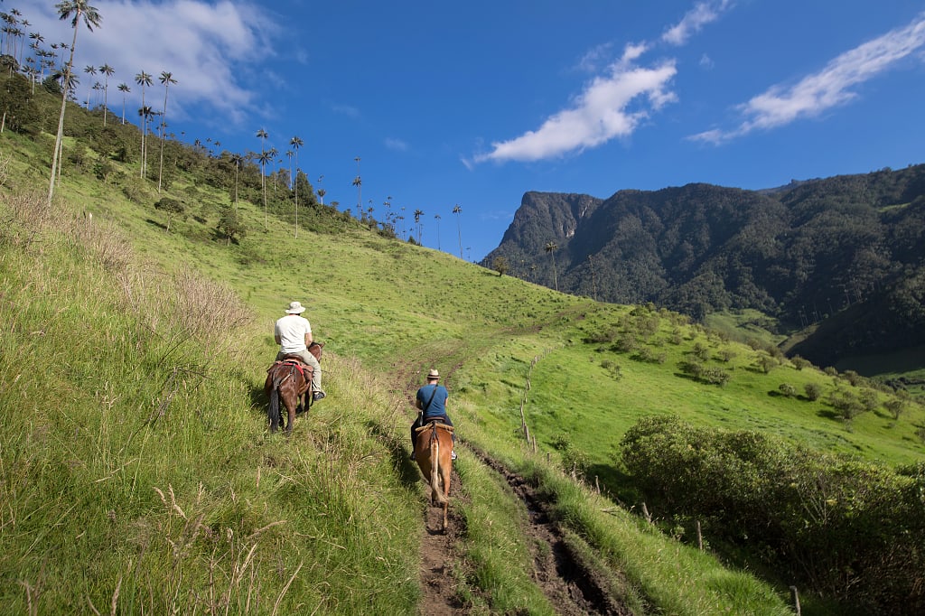 Horseback riding in Cocora Valley, Colombia Horseback riding in Cocora Valley, Colombia