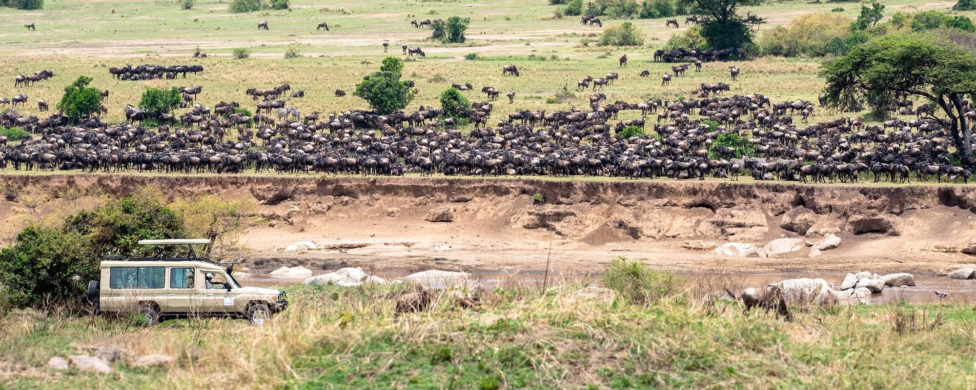 Africa Awaits Tanzania Kenyas Livestream Of The Great Migration Begins - o9uieea