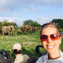 A family of elephants walks by a reviewers tour