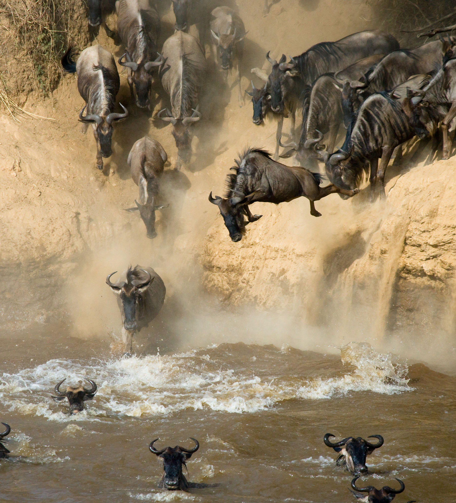 Best Masai Mara Safaris 20212022 Zicasso