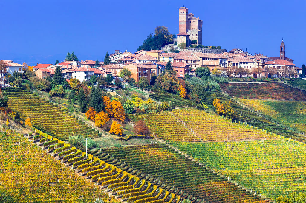Vineyards of Serralunga-d-Alba in Piemonte. Vineyards of Serralunga-d-Alba in Piemonte.