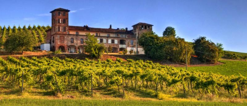 A villa and vineyard in Piedmont, northern Italy