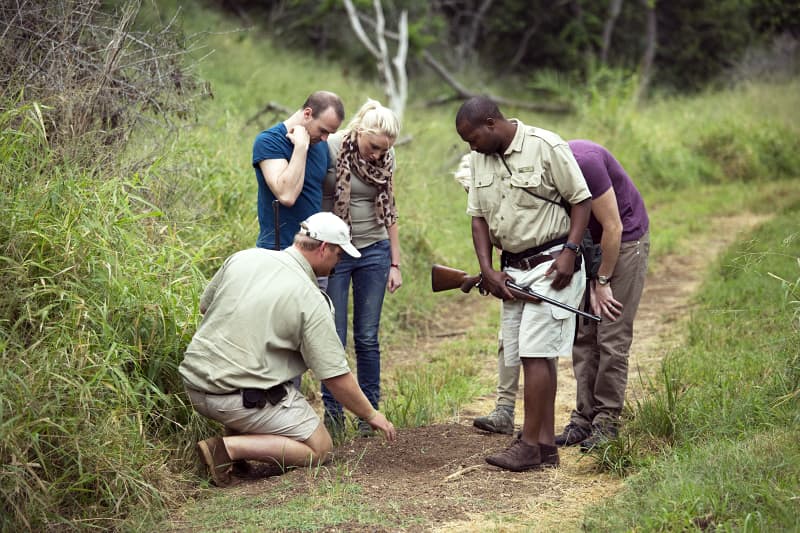 A guided walking safari in South Africa.
