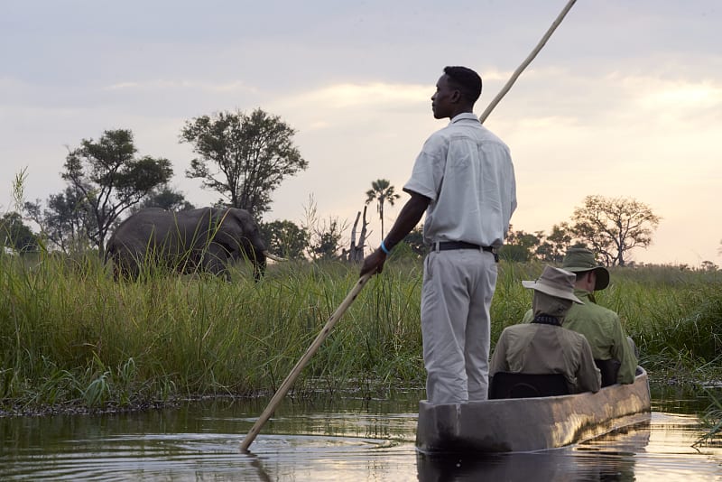 Guided mokoro boat in the Okavango Delta, Botswana.