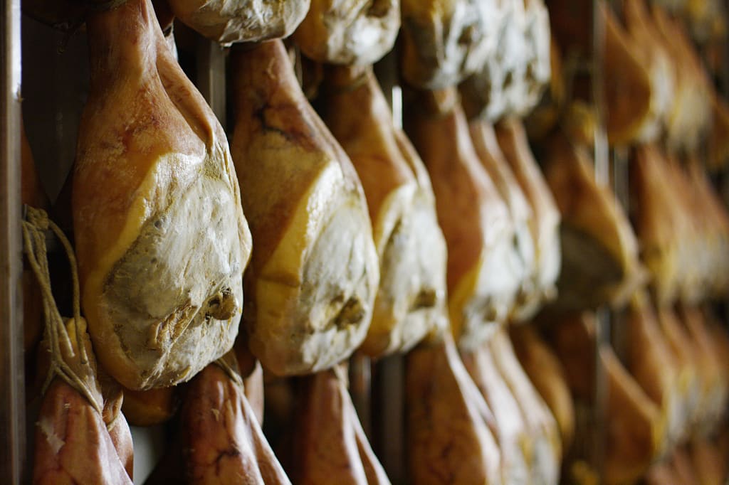 5 Best Dishes to Try While on Vacation In Bologna Zicasso