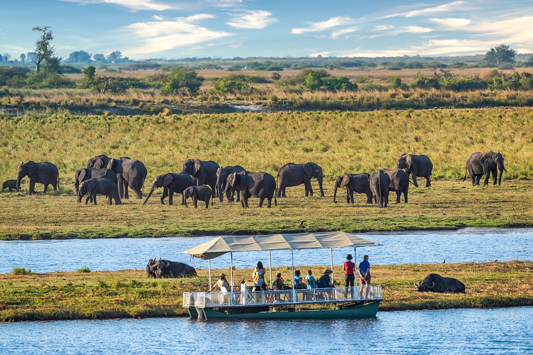 Unforgettable Adventure Holidays in Botswana, Safari in Chobe National Park