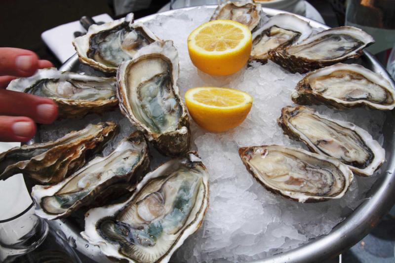 Tasty plate of fresh oysters.