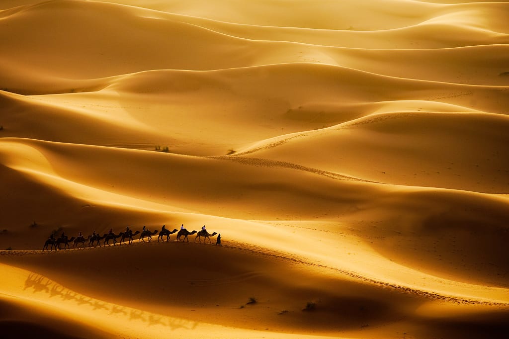Camel caravan going through the sand dunes in Erg Chebbi, Morocco Camel caravan going through the sand dunes in Erg Chebbi, Morocco