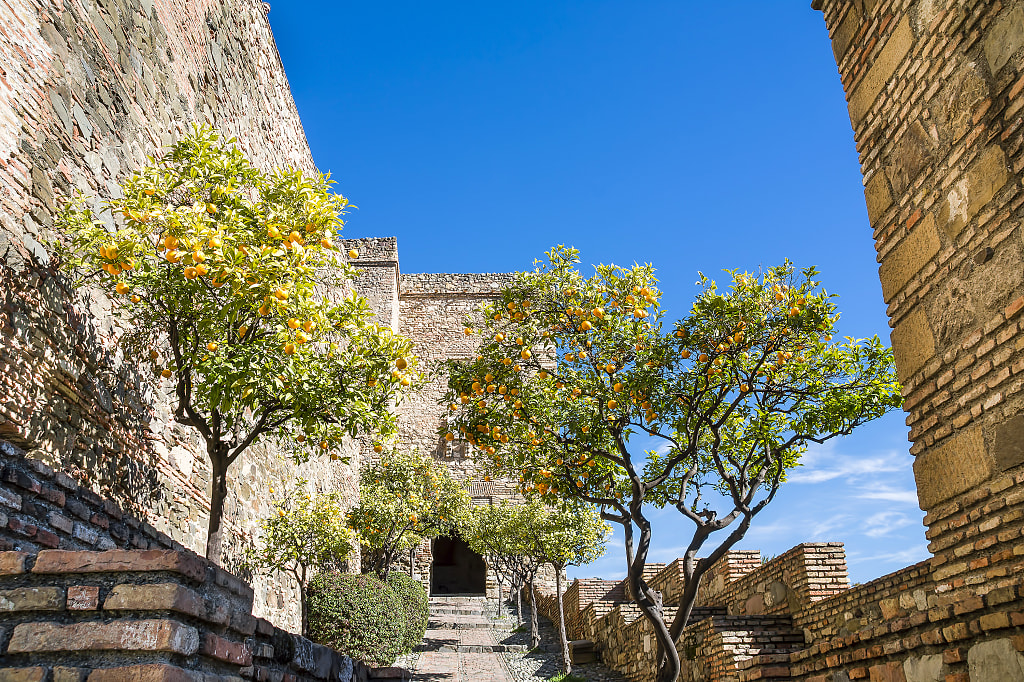Alcazaba de Malaga in Spain. Alcazaba de Malaga in Spain.