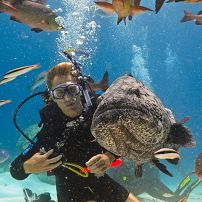 Scuba diver in Tasmania at Dove Lake