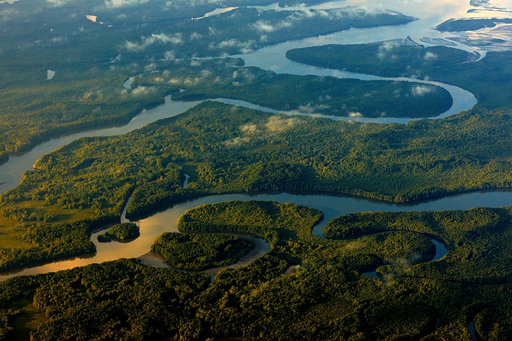 Aerial view of river running thru Corcovado National Park in Costa Rica Aerial view of river running thru Corcovado National Park in Costa Rica