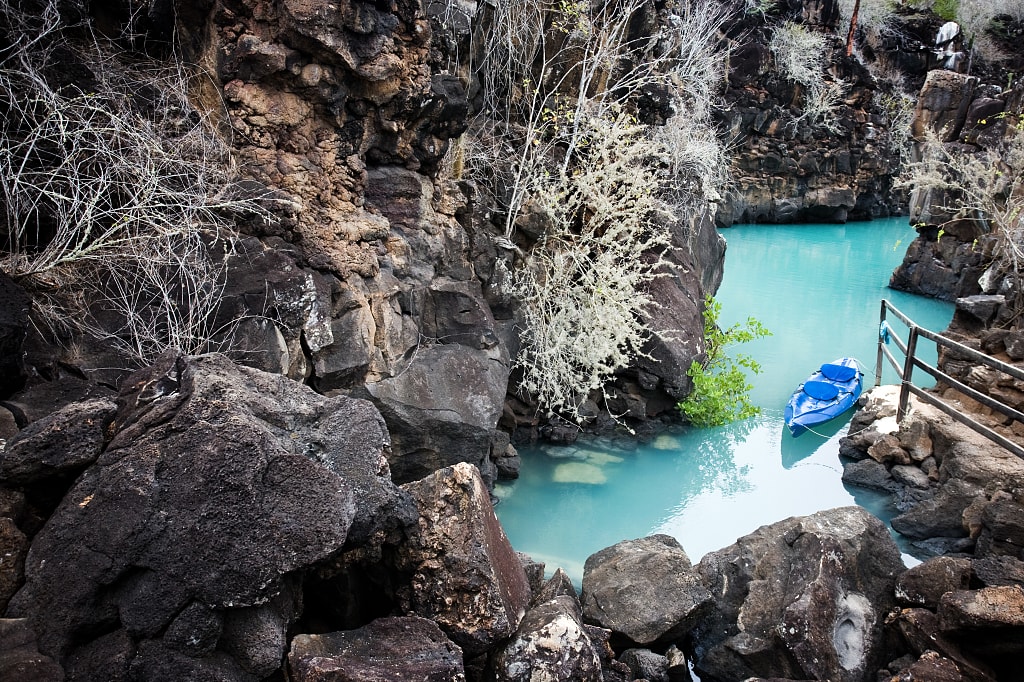 Kayaking Santa Cruz Island, Galapagos Kayaking Santa Cruz Island, Galapagos