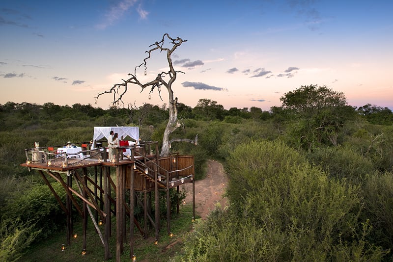 Romantic Honeymoon at Lion Sands Chalkley Treehouse, MORE Family Collection Honeymoon couple at Lion Sands Chalkley Treehouse, Sabi Sands, South Africa