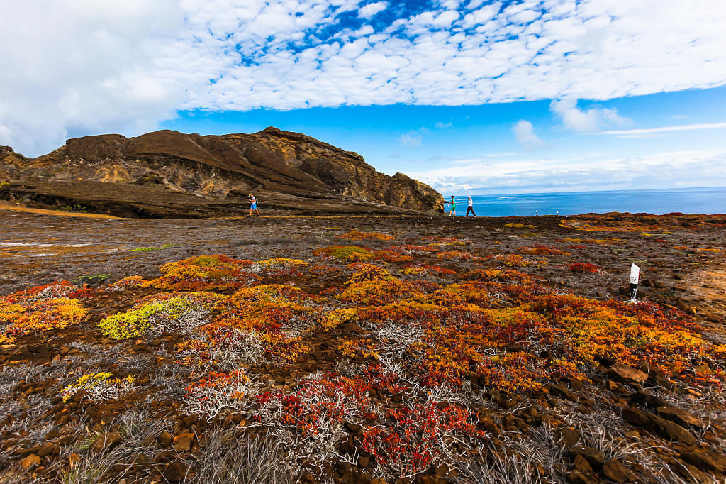 Hiking on San Cristobol Island in the Galapagos Hiking on San Cristobol Island in the Galapagos