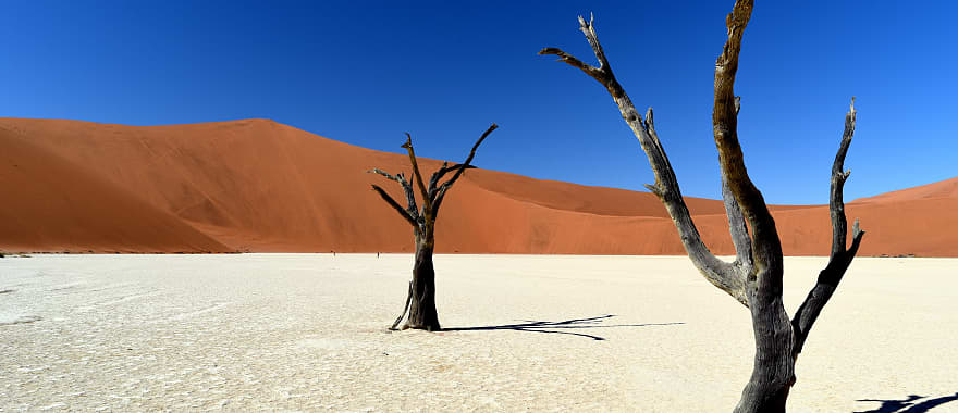 Africa Expedition Tour: South Africa, Namibia, Botswana & Zambia