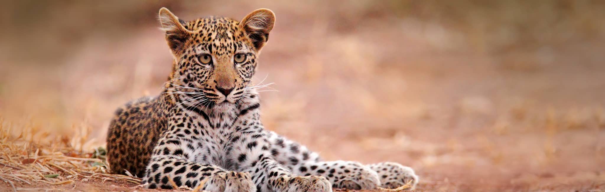 Zimbabwe Travel Agents | Agencies Specializing in Zimbabwe | Zicasso