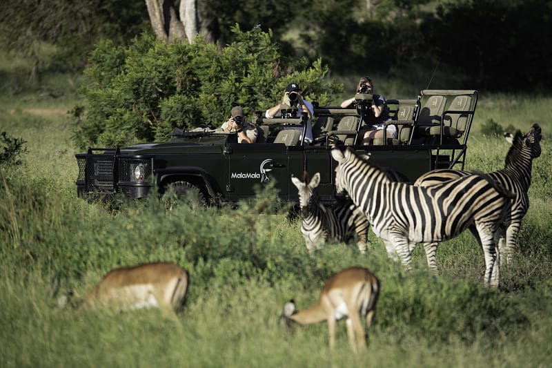 Photo Safari in Sabi Sands. Photo courtesy of Mala Mala Camp Private photo safari in Sabi Sands, South Africa