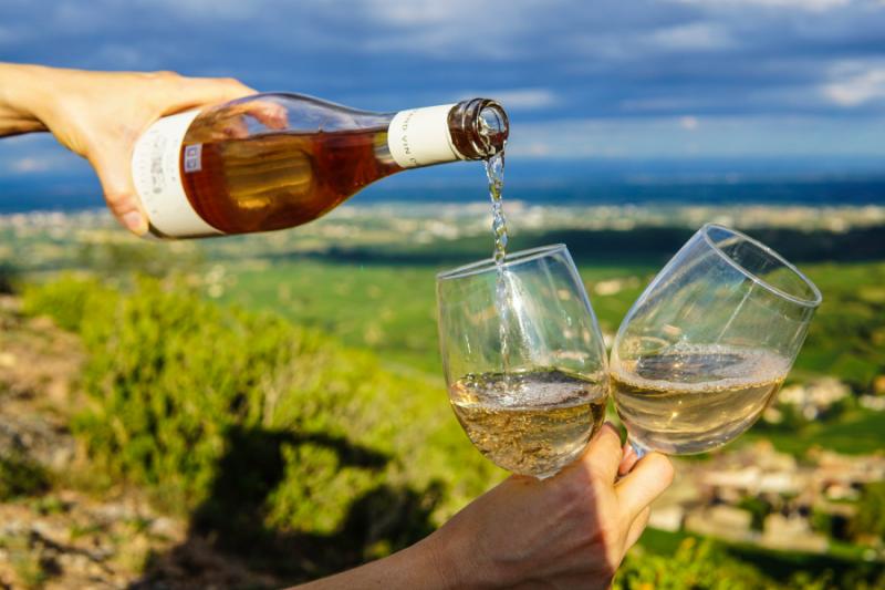 Wine tasting in France.
