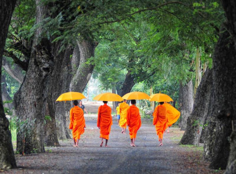 Cambodian monks walking along path.