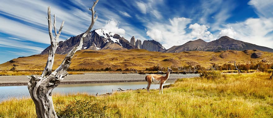 Classic Patagonia Tour | Zicasso
