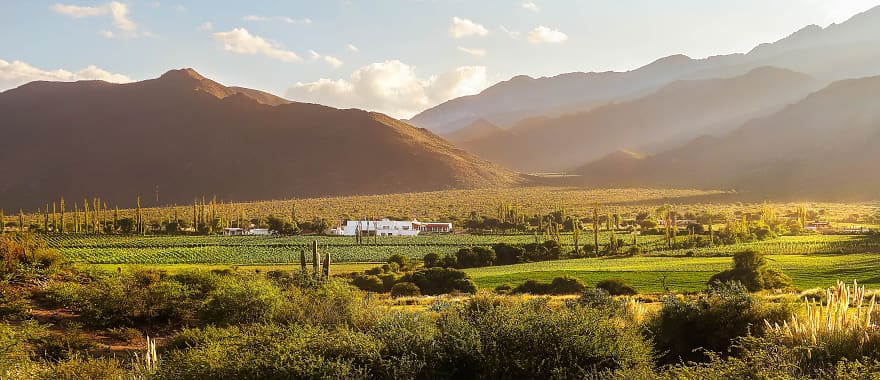 Argentina Explorer Capital Forests Andes Mountains And Wine Country 